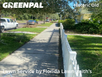 Grass Cutting nearby St. Petersburg, FL, 