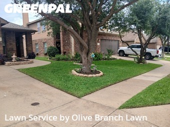 Lawn Mow nearby Fort Worth, TX, 