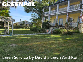 Lawn Work in Leesburg, 34748, Lawn Upkeep by David's Lawn And Koi, work completed in Dec , 2025