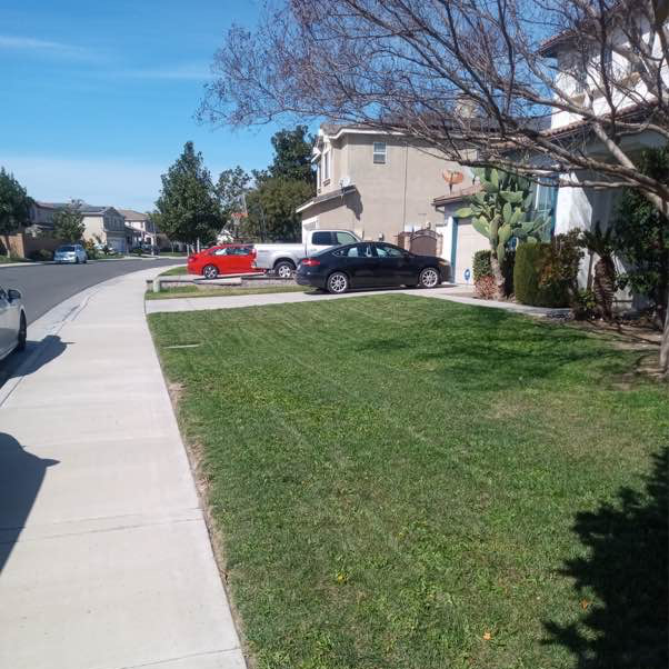 Lawn mowing work by Jose Lawn Care in Hesperia, CA