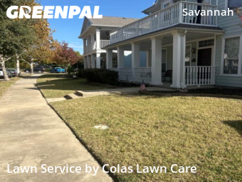 Yard Cutting nearby Denton County, TX, 