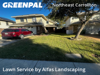 Yard Care in Carrollton, 75007, Yard Upkeep by Alfas Landscaping, work completed in Nov , 2025