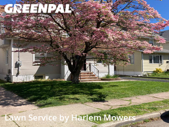 Lawn Cutting nearby Clifton, NY, 