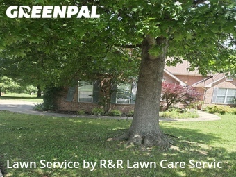 Lawn Carein Smyrna,37167,Grass Cutting by R&R Lawn Care Servic, work completed in Jun , 2026