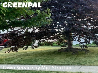 Lawn mowed in Berea, 44017