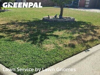 Lawn Cut nearby Harker Heights, TX, 