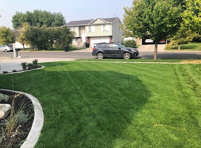 Local Lawn care service near me in Rhinelander, WI, 54501