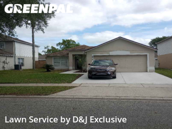 Grass Cut nearby Orlando, FL, 