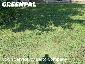 Lawn Mowing nearby Bowling Green, KY, 