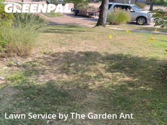 Lawn Cuttingin Ballwin,63021,Lawn Care Service by The Garden Ant , work completed in Dec , 2025