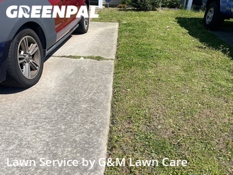 Yard Cutting nearby Virginia Beach, VA, 