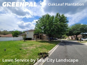 Grass Cuttingin Orange Park,32065,Lawn Cut by Teal City Landscape , work completed in Jun , 2026