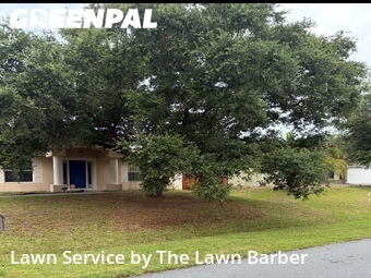 Grass Cut nearby Palm Bay, FL, 