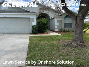 Lawn Mow nearby Wesley Chapel, FL, 