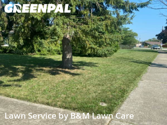 Lawn Cutting nearby Calumet City, IL, 