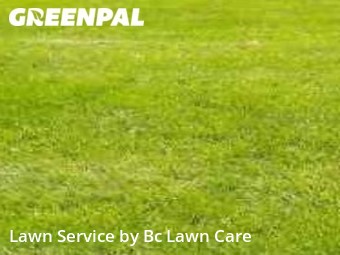 Lawn Mowing Service nearby Knightdale, NC, 