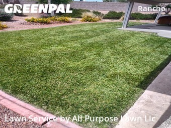 Weekly Mowing in Las Vegas, 89130, Backyard Mowing by All Purpose Lawn Llc, work completed in Oct , 2025