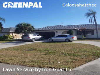Lawn Mow nearby Cape Coral, FL, 