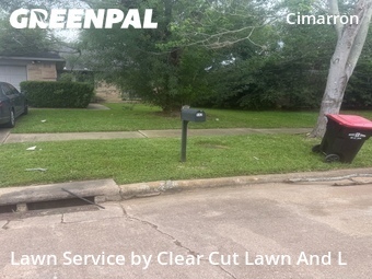 Grass Cut nearby Katy, TX, 