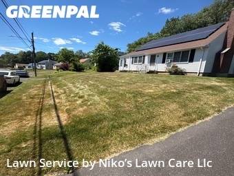 Grass Cut nearby New Britain, CT, 
