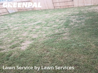 Yard Mowing nearby The Woodlands, TX, 