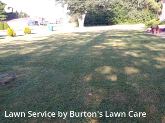 Yard Cutting nearby Boardman, OH, 