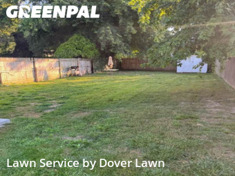 Grass Cut nearby Dover, DE, 