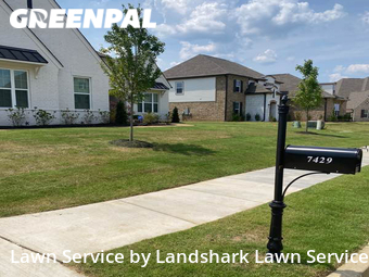 Lawn Mowing Service nearby Olive Branch, MS, 