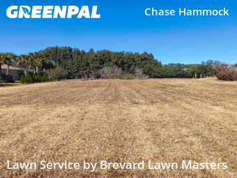 Lawn Mow nearby Merritt Island, FL, 