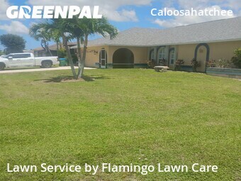 Lawn mowed in Cape Coral, 33904