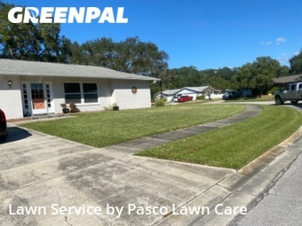 Lawn Maintenance nearby Palm Harbor, FL, 