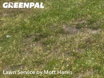 Lawn Care nearby Pompano Beach, FL, 