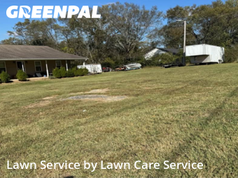 Yard Cutting nearby Castalian Springs, TN, 