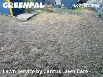 Yard Mowing nearby San Antonio, TX, 