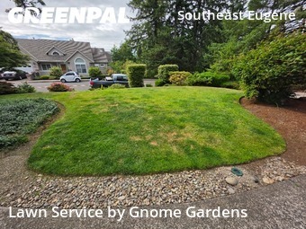 Lawn mowed in Eugene, 97405