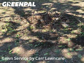 Yard Cutting nearby Penfield, NY, 