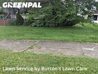 Lawn Mow nearby Struthers, PA, 