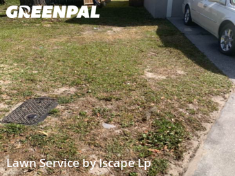 Grass Cut nearby Lakeland, FL, 