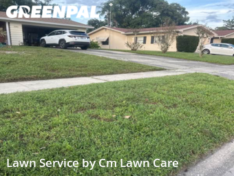 Grass Cut nearby Goldenrod, FL, 