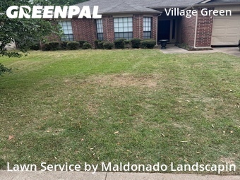 Lawn Mowing nearby Katy, TX, 