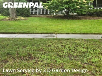 Lawn Care Service nearby Crystal Lake, IL, 