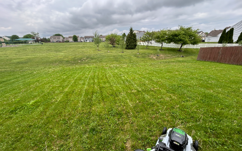 Work Image 1