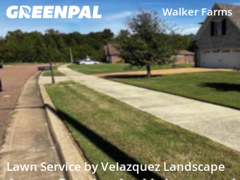 Grass Cut nearby Arlington, TN, 