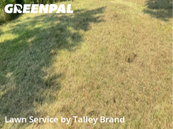 Lawn Care Service nearby North Little Rock, AR, 