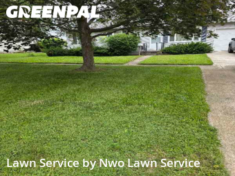 Work completed by the-yard-cutting-businesses-in-Fremont-CA