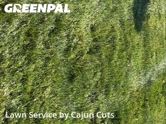 Grass Cut nearby Murfreesboro, TN, 