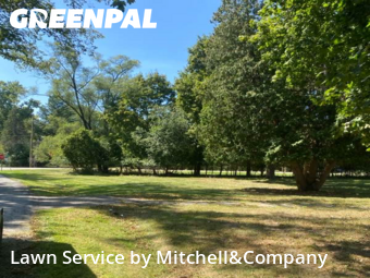 Yard Care in Southfield, 48033, Garden Trimming by Mitchell&Company, work completed in Nov , 2025