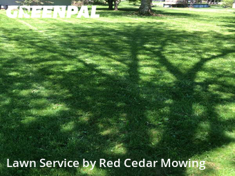 Yard Cutting nearby Lansing, MI, 