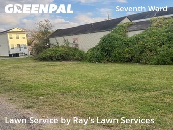 Lawn Mow nearby New Orleans, LA, 