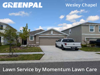 Lawn Maintenance nearby Wesley Chapel, FL, 